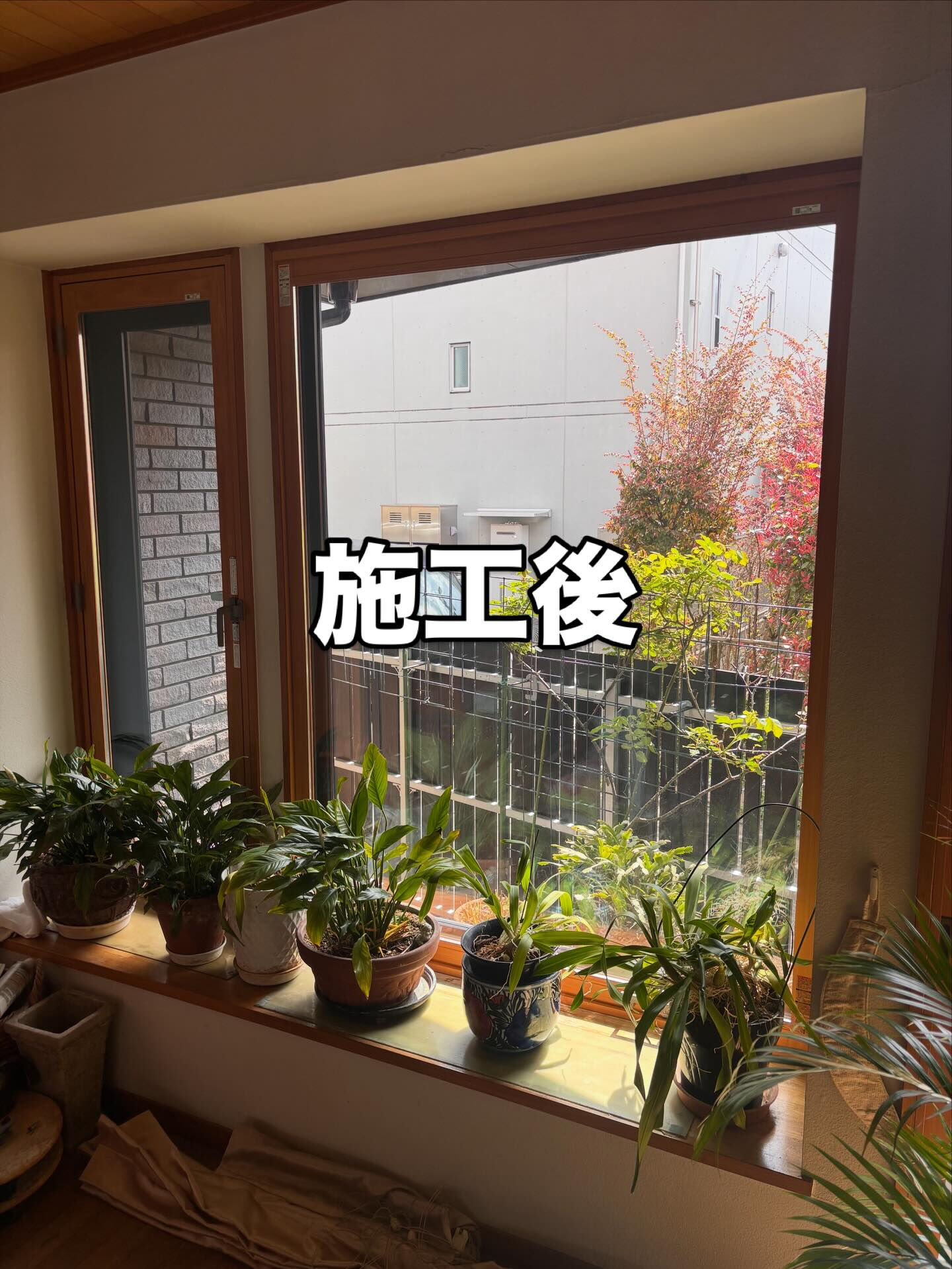 multi_image