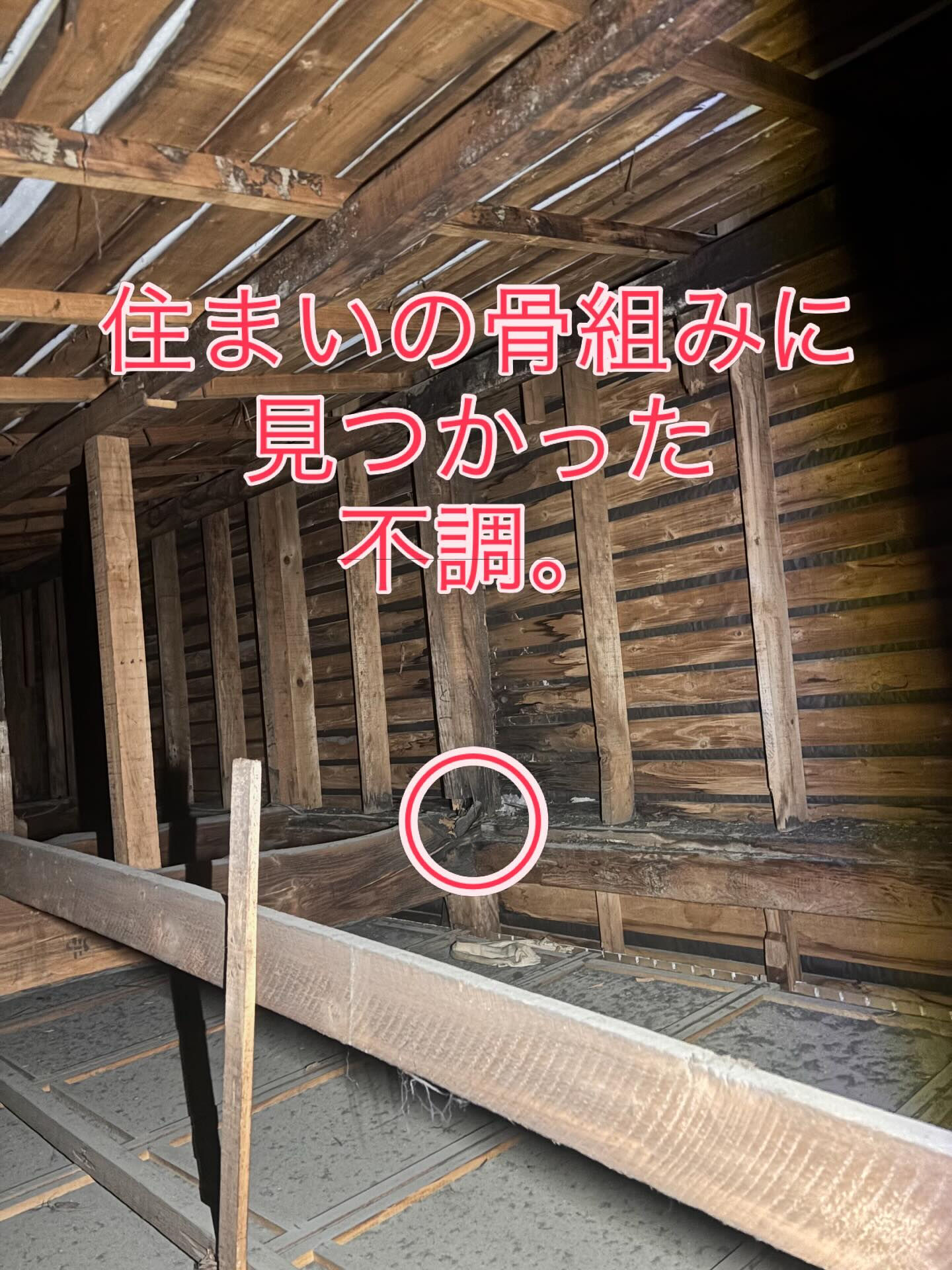 見えない腐食も、きちんと診て、きちんと処置