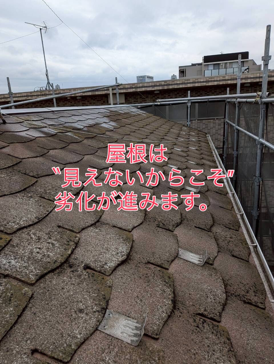 「外壁、気づいたらこんな状態になっていませんか？」